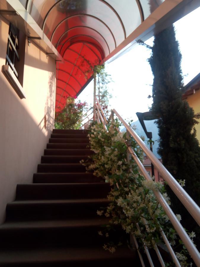 Hotel Alloggio Ponte Dei Cavalleggeri Trient Exterior foto